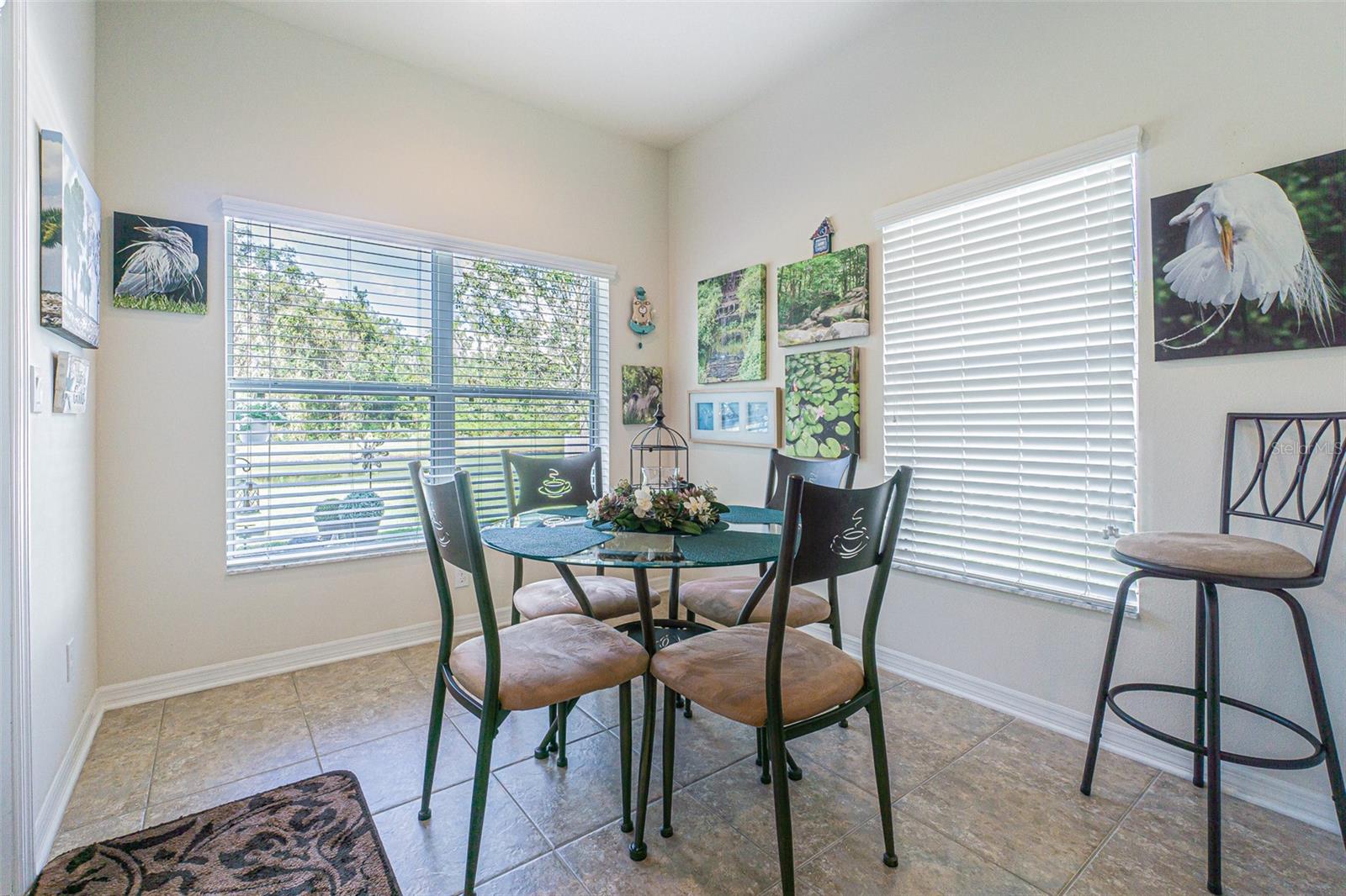 11231 BELLE HAVEN DR, NEW PORT RICHEY, FL, 34654