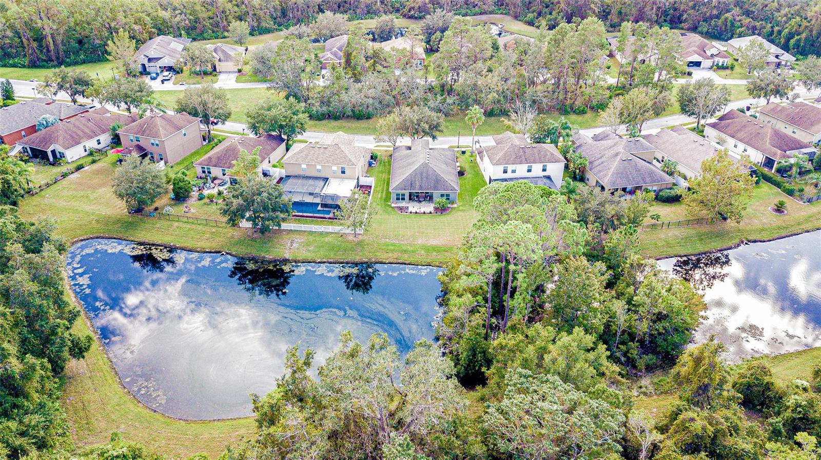 11231 BELLE HAVEN DR, NEW PORT RICHEY, FL, 34654