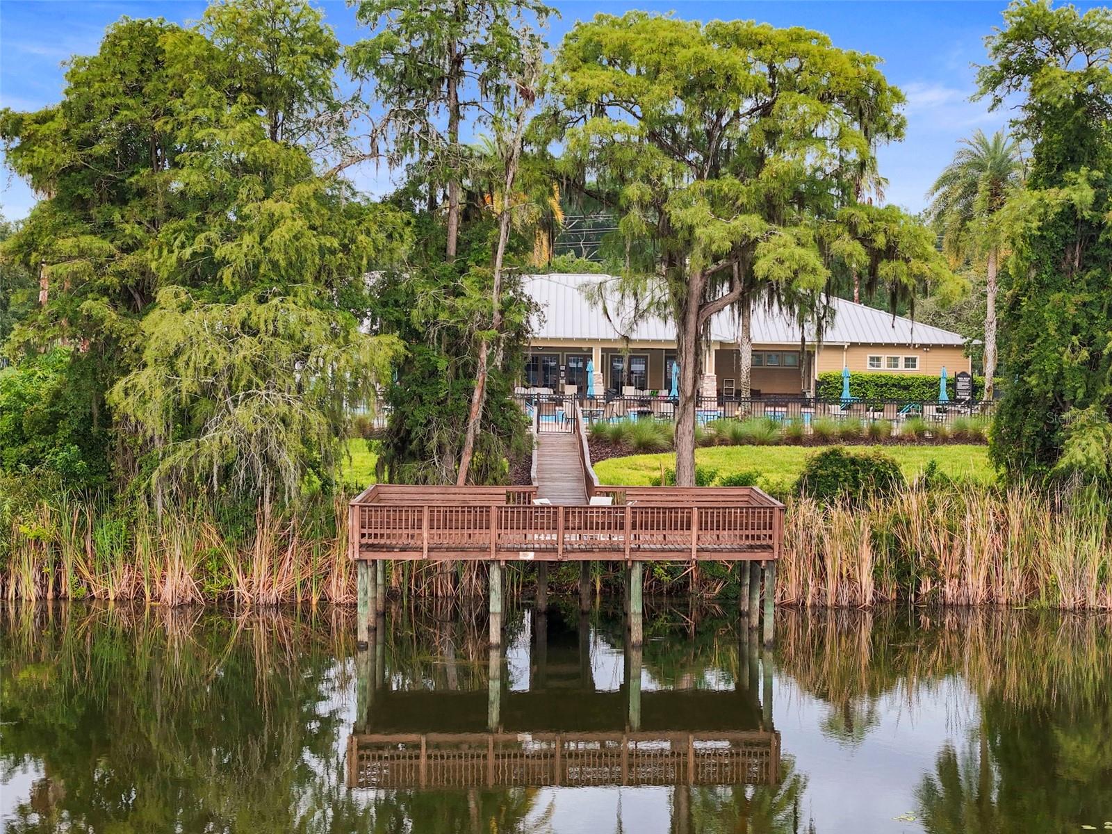 11231 BELLE HAVEN DR, NEW PORT RICHEY, FL, 34654