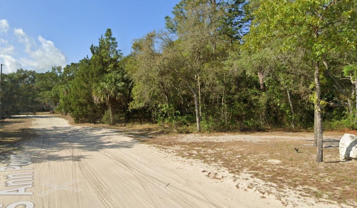 11372 S ANN PT, HOMOSASSA, FL, 34448