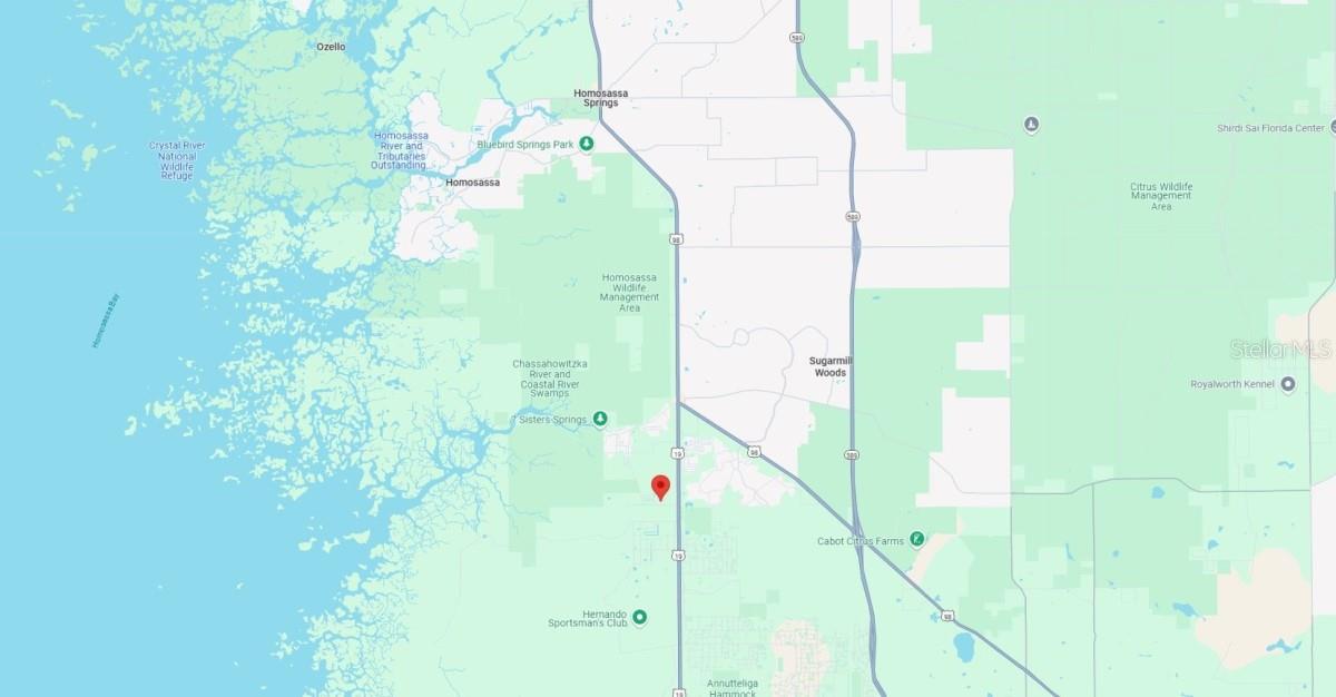 11372 S ANN PT, HOMOSASSA, FL, 34448