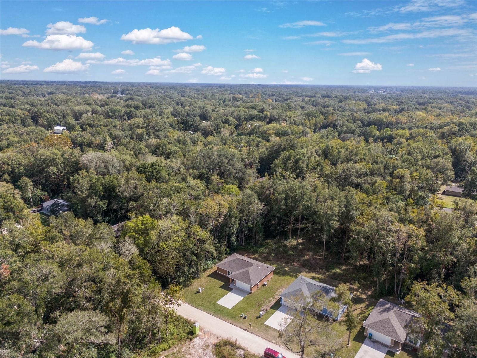 2886 SE 140TH PL, SUMMERFIELD, FL, 34491