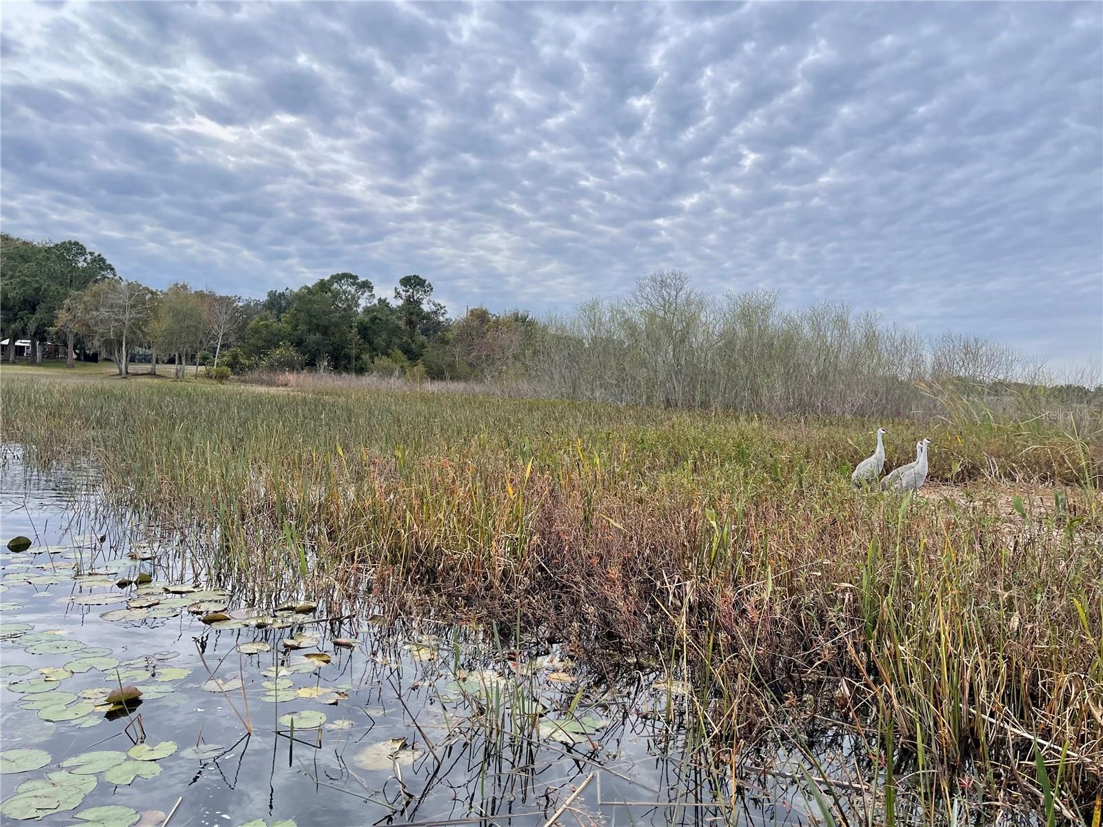 4321 RUMMELL RD, ST CLOUD, FL, 34769