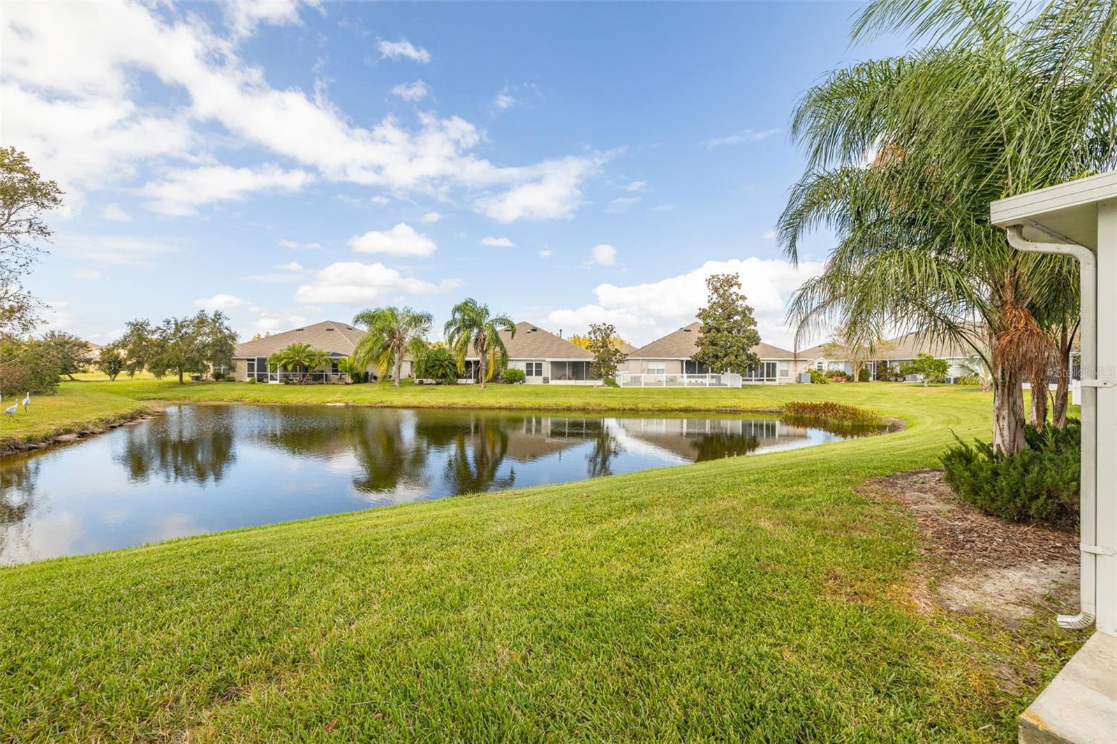 2839 TORRANCE DR, LAND O LAKES, FL, 34638