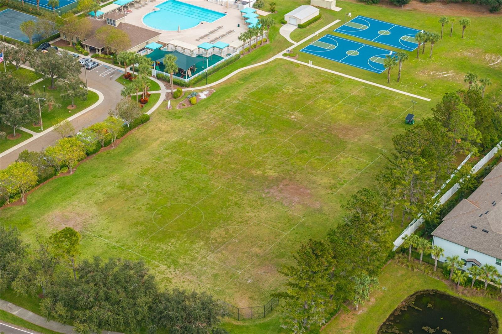 2839 TORRANCE DR, LAND O LAKES, FL, 34638
