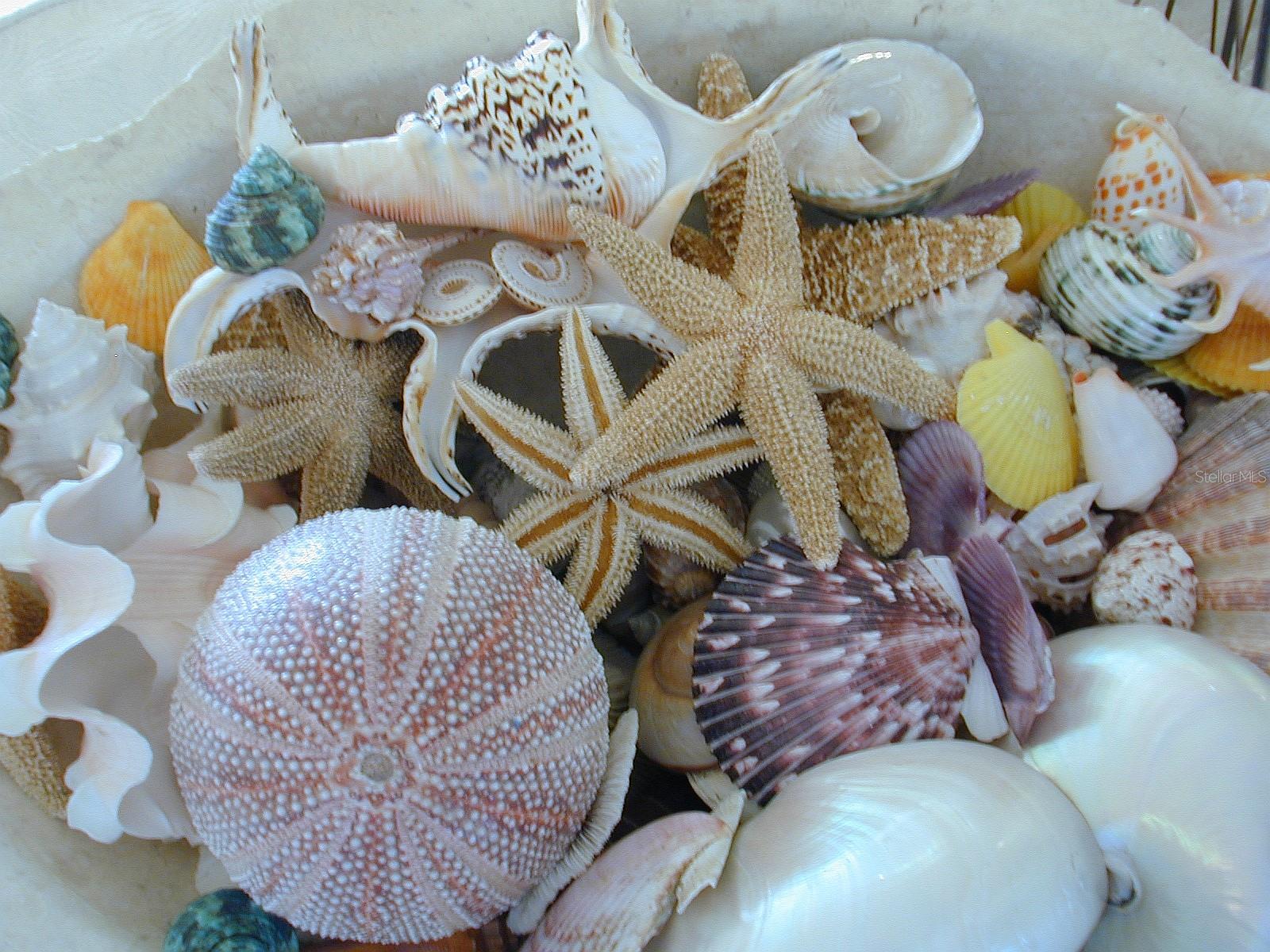 5246 BAY SHORE RD, SARASOTA, FL, 34234