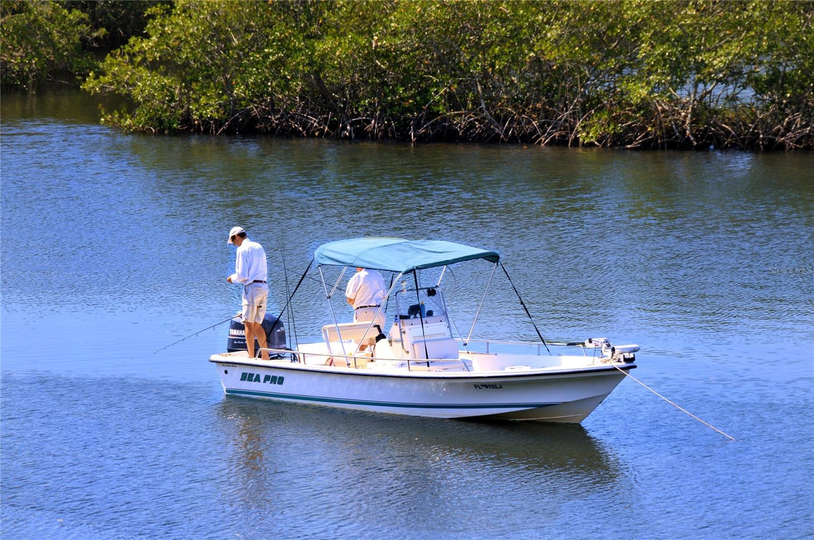 5246 BAY SHORE RD, SARASOTA, FL, 34234