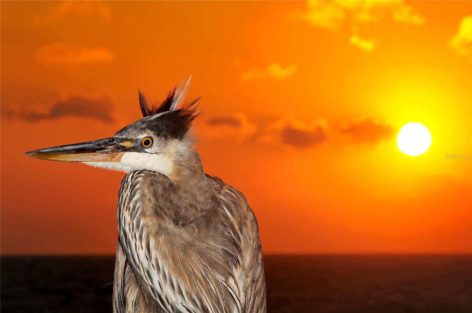 5246 BAY SHORE RD, SARASOTA, FL, 34234