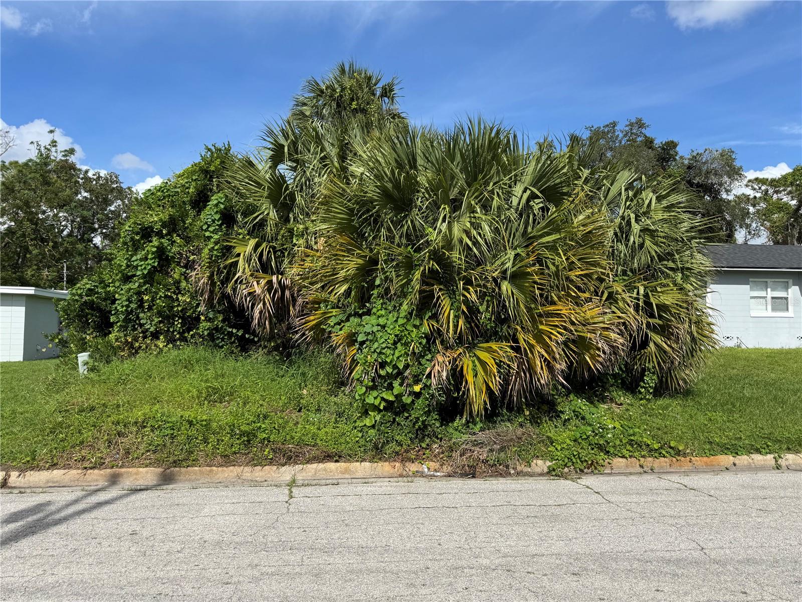 3019 LONG ST, ORLANDO, FL, 32805