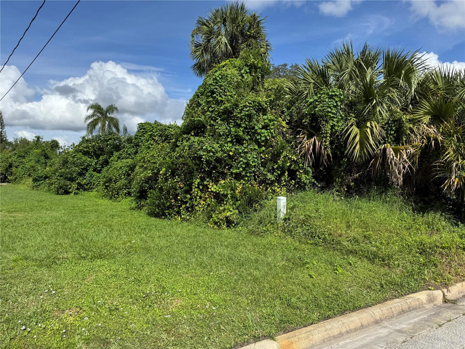 3019 LONG ST, ORLANDO, FL, 32805