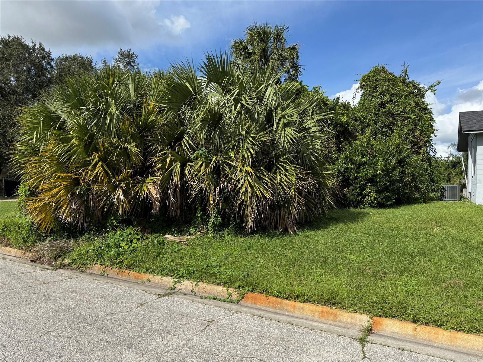 3019 LONG ST, ORLANDO, FL, 32805