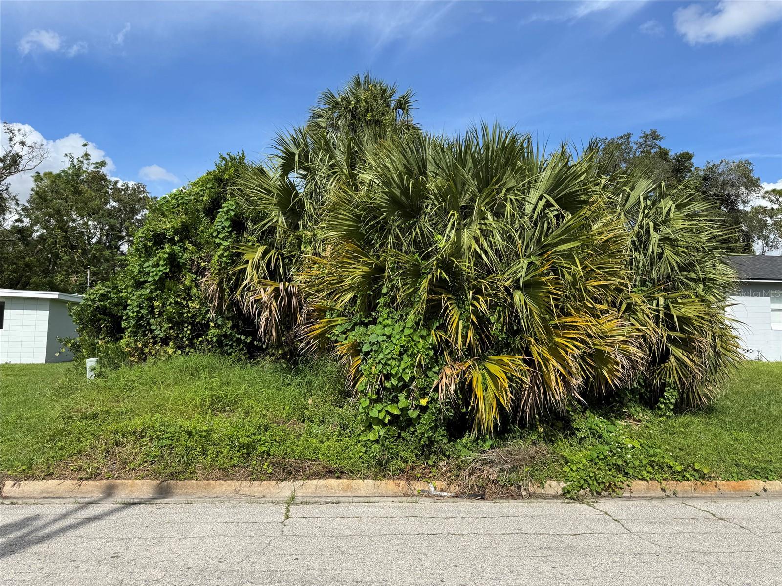 3019 LONG ST, ORLANDO, FL, 32805