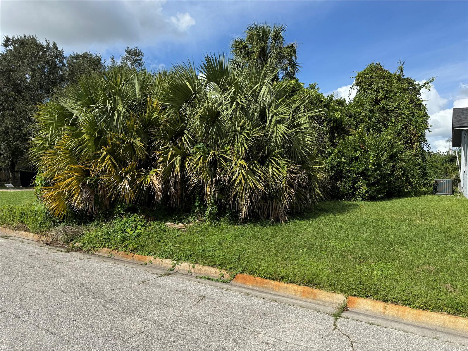 3019 LONG ST, ORLANDO, FL, 32805