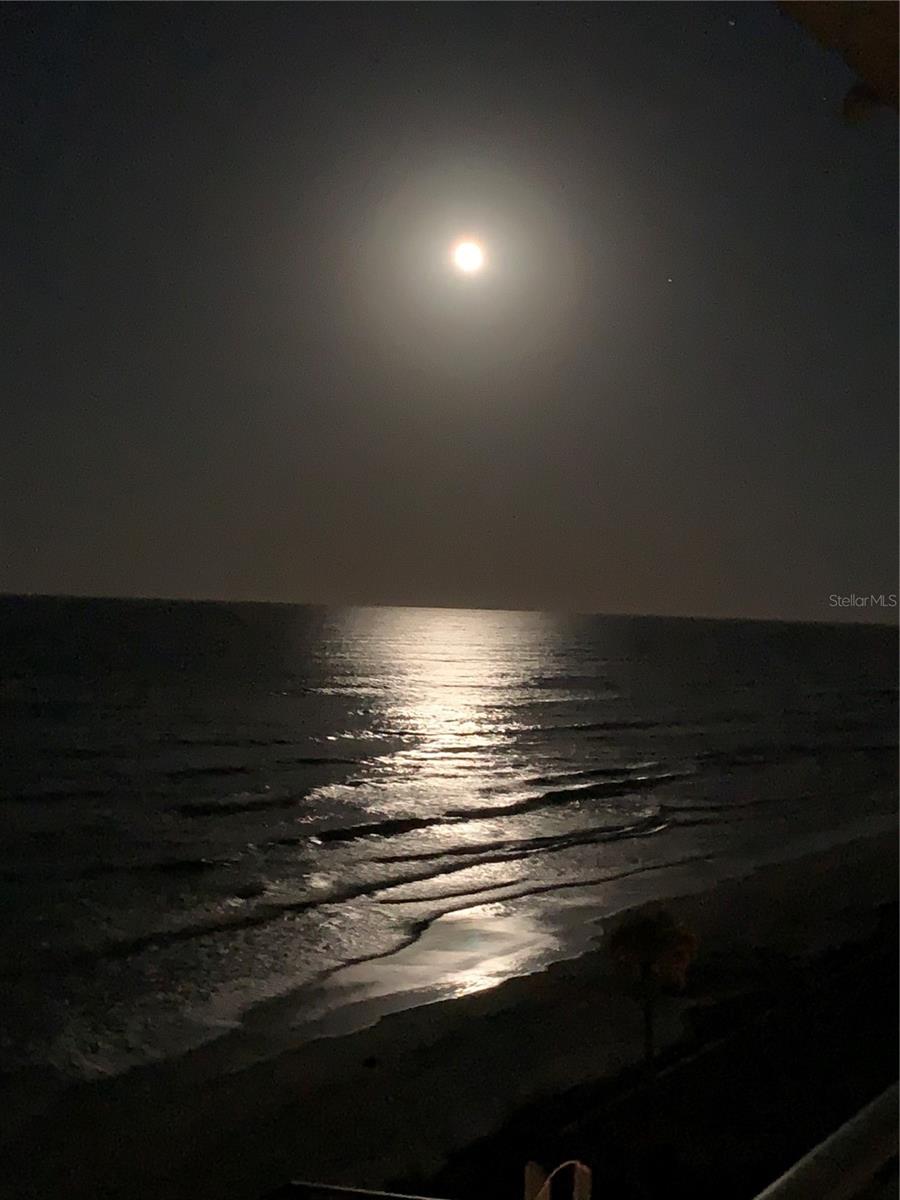 5207 S ATLANTIC AVE #0622, NEW SMYRNA BEACH, FL, 32169