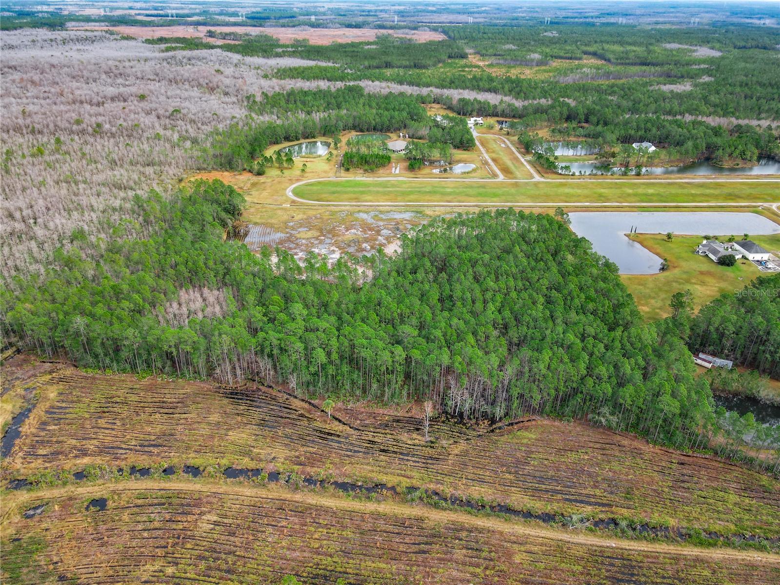 3131 LAFAYETTE LANDING DR, DE LEON SPRINGS, FL, 32130
