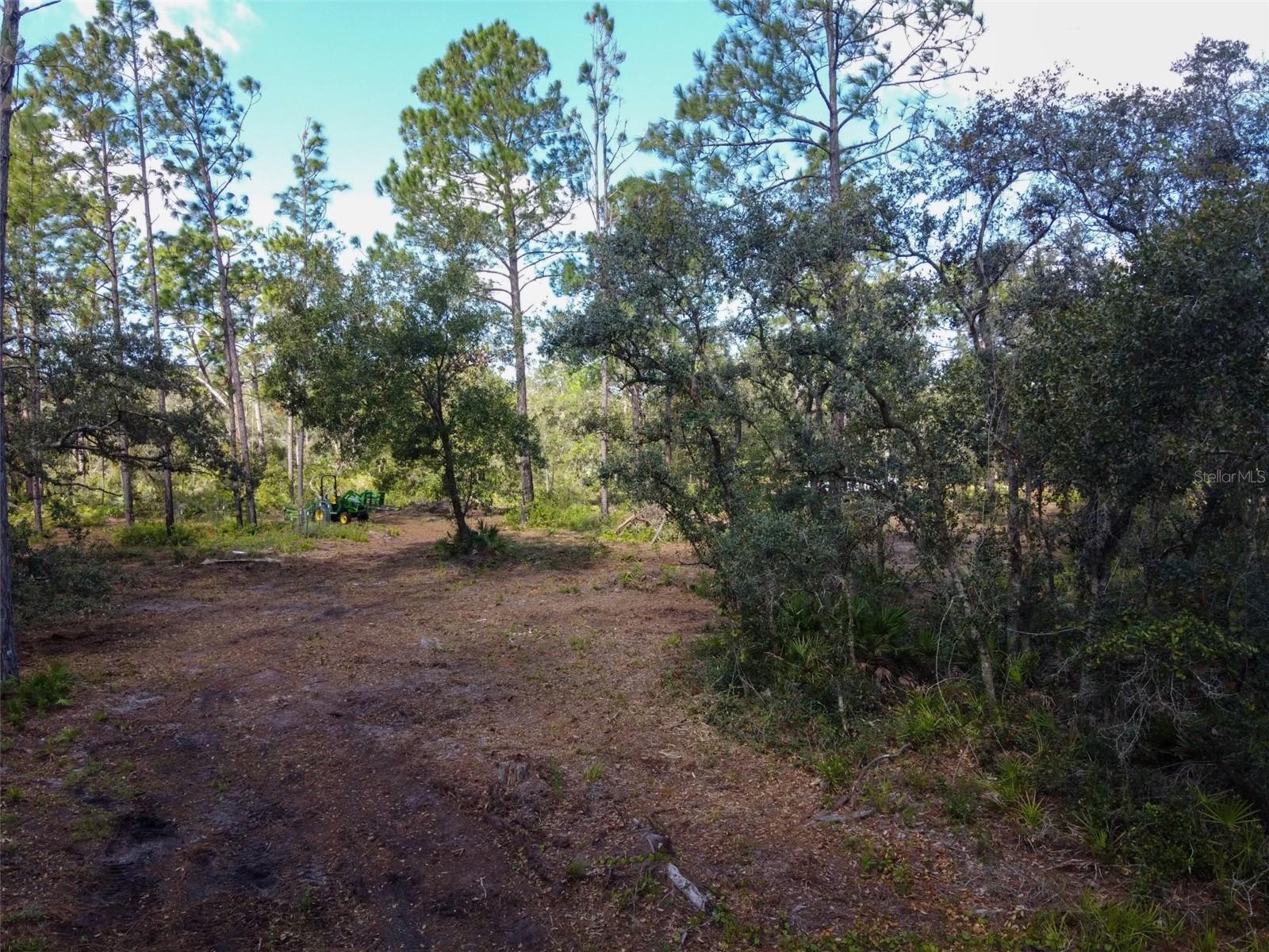 KIJIK TRL, GROVELAND, FL, 34736