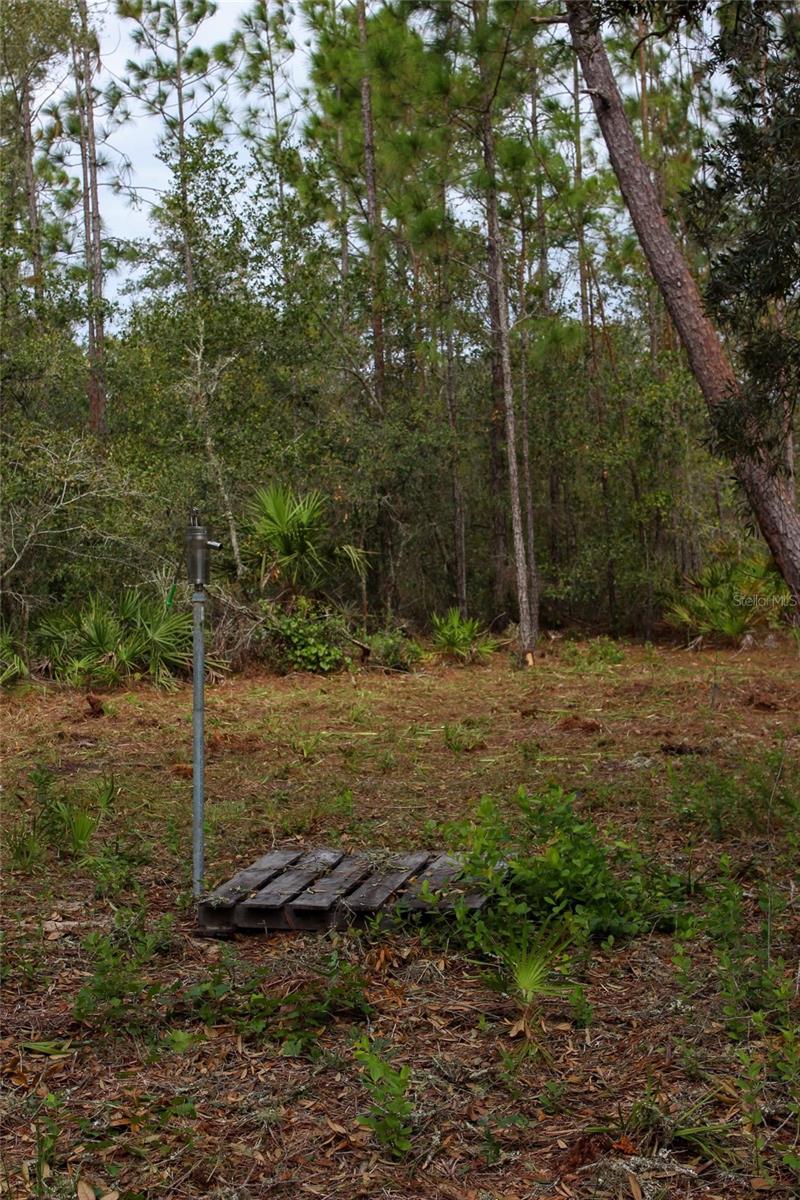 KIJIK TRL, GROVELAND, FL, 34736
