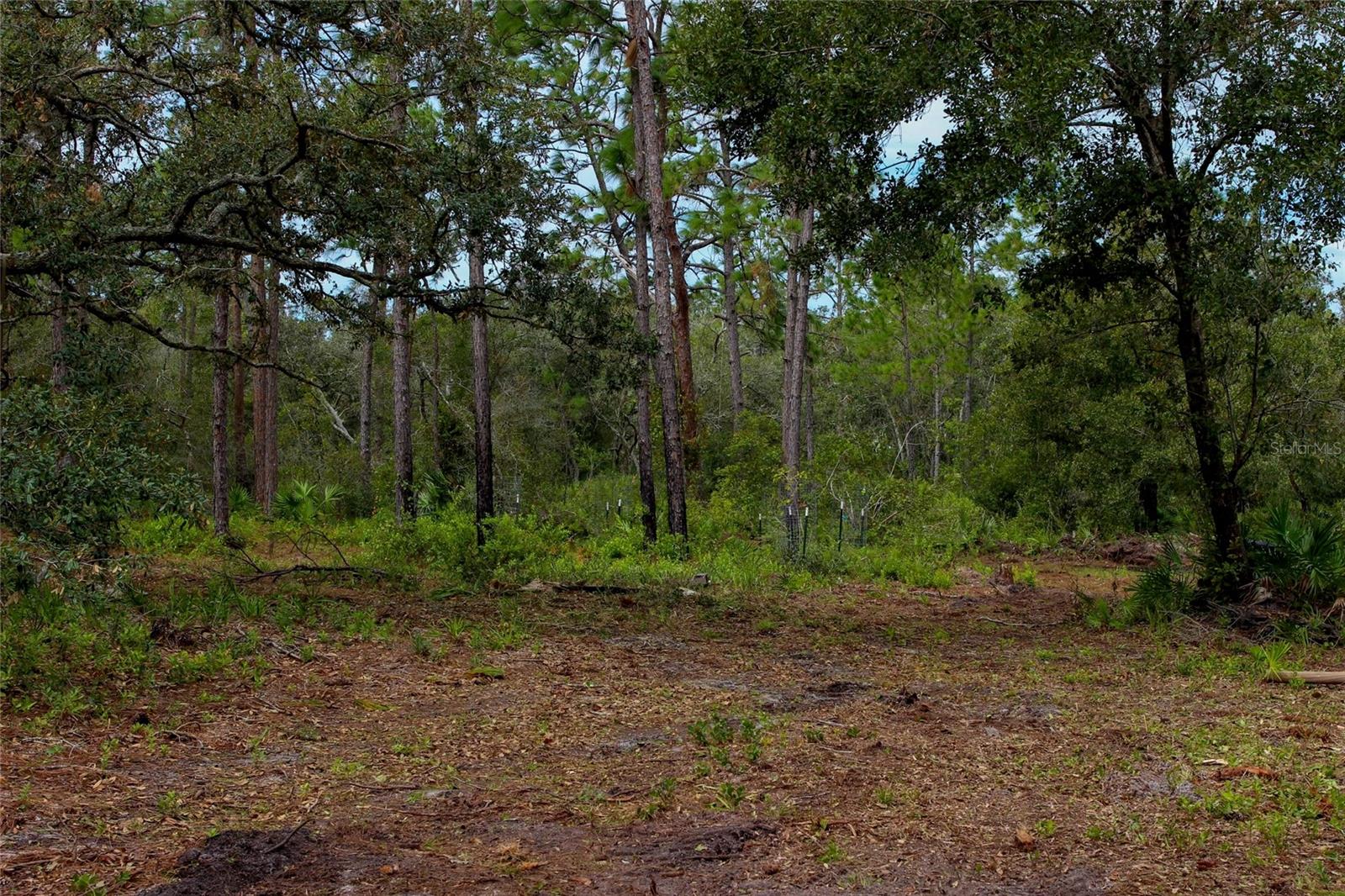 KIJIK TRL, GROVELAND, FL, 34736