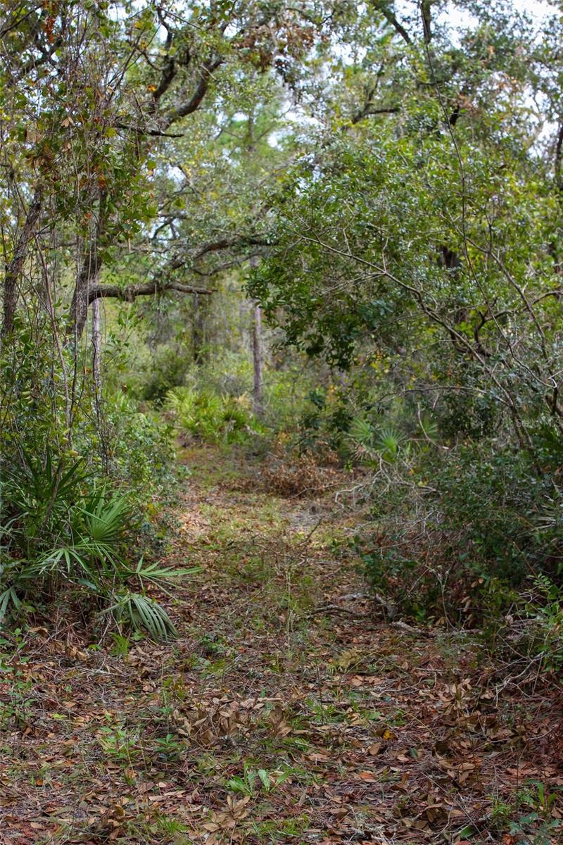 KIJIK TRL, GROVELAND, FL, 34736