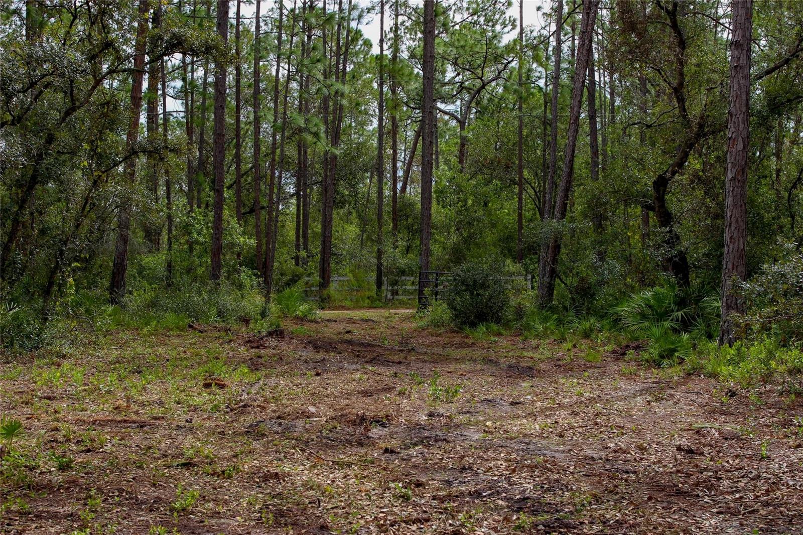 KIJIK TRL, GROVELAND, FL, 34736