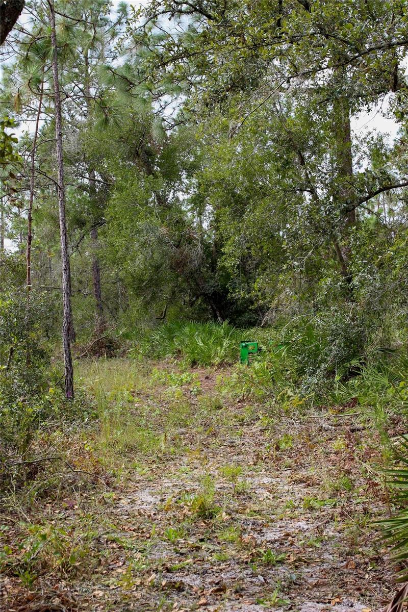 KIJIK TRL, GROVELAND, FL, 34736