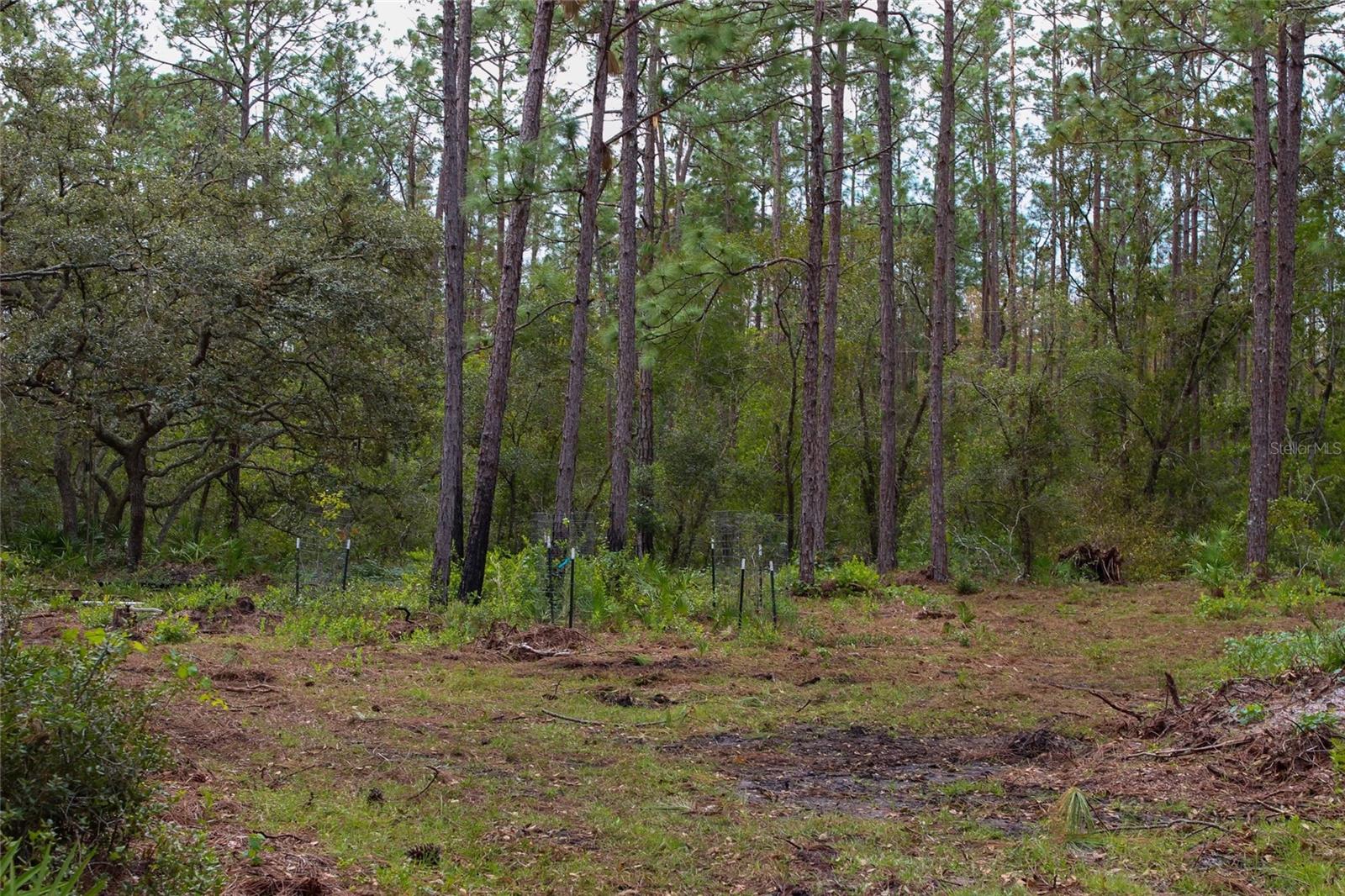 KIJIK TRL, GROVELAND, FL, 34736
