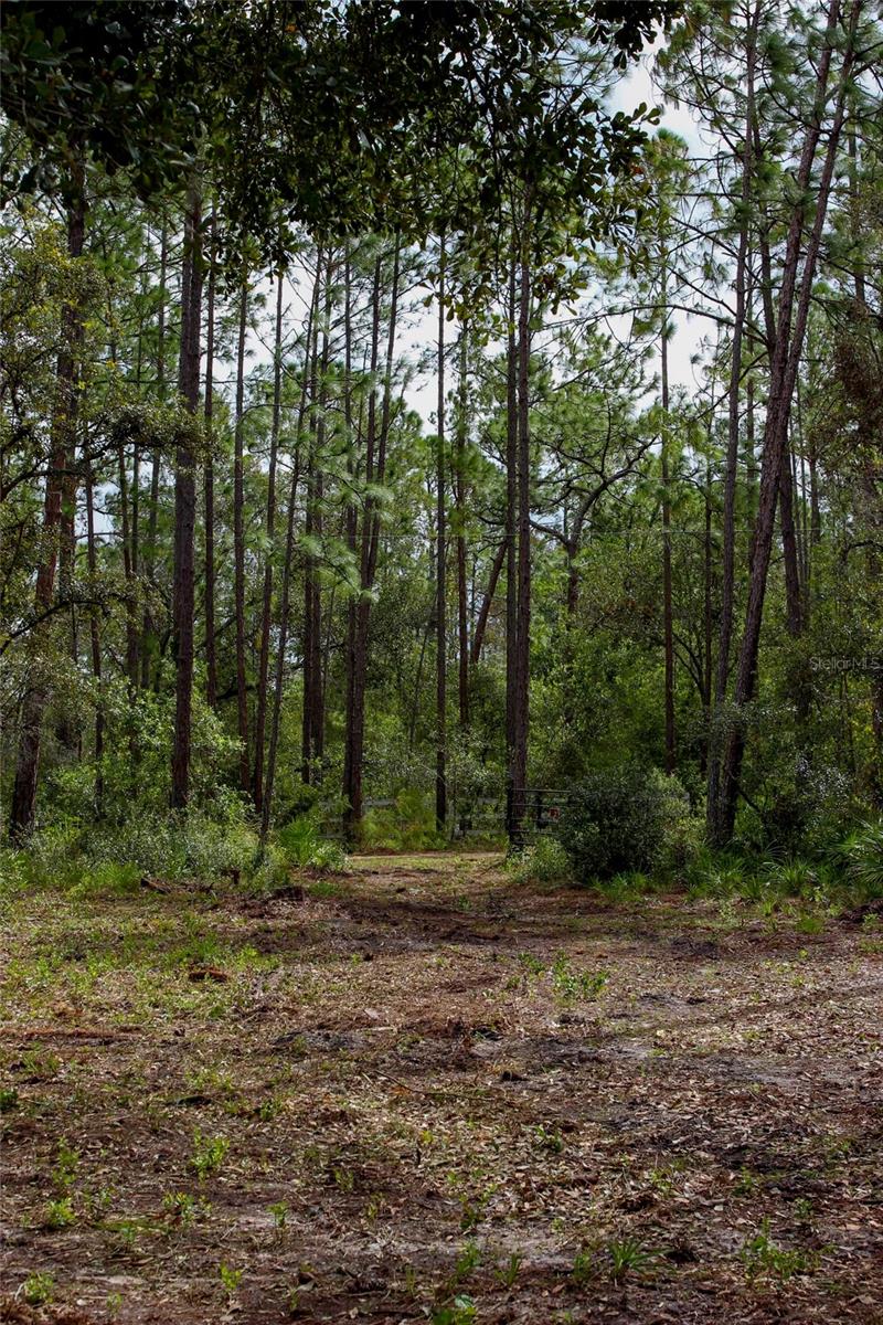 KIJIK TRL, GROVELAND, FL, 34736