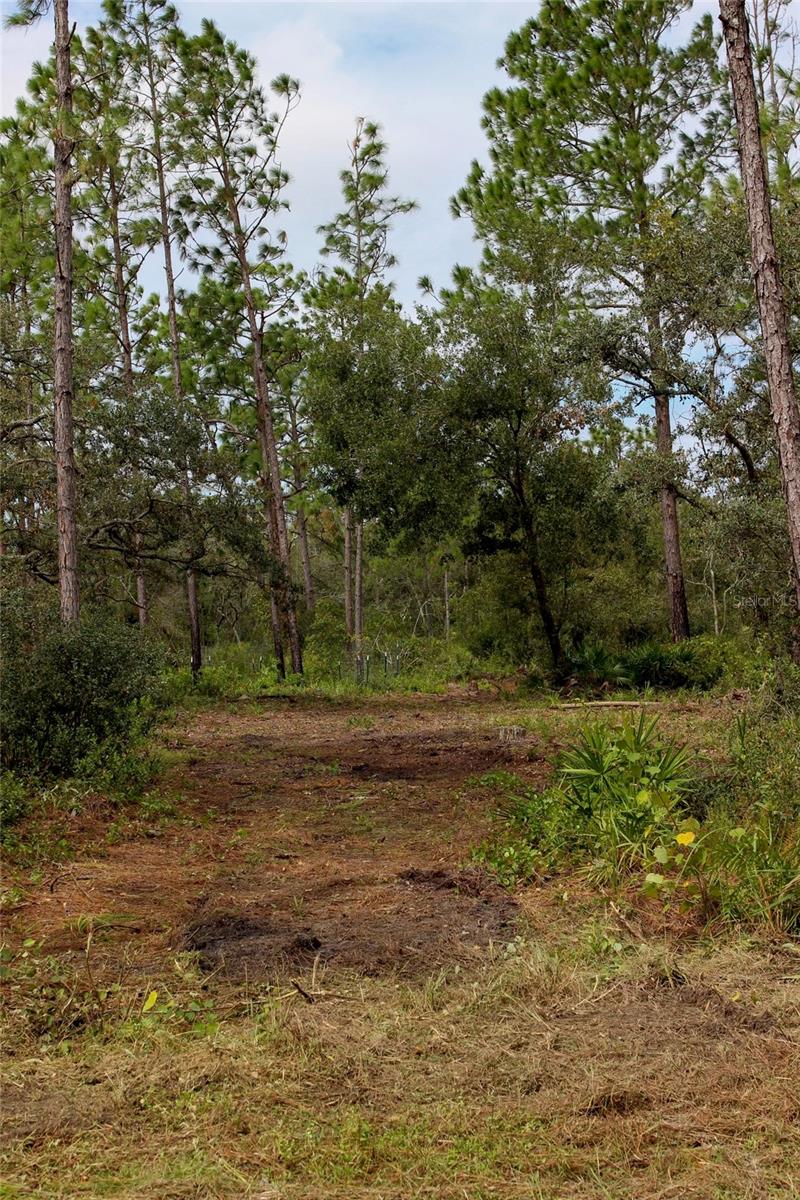 KIJIK TRL, GROVELAND, FL, 34736