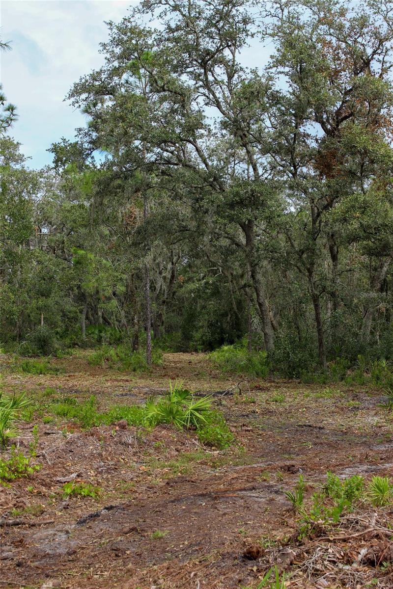 KIJIK TRL, GROVELAND, FL, 34736