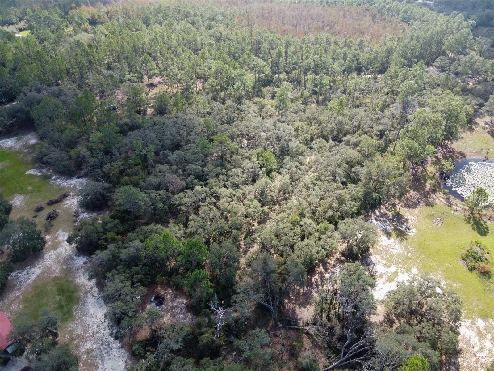 KIJIK TRL, GROVELAND, FL, 34736