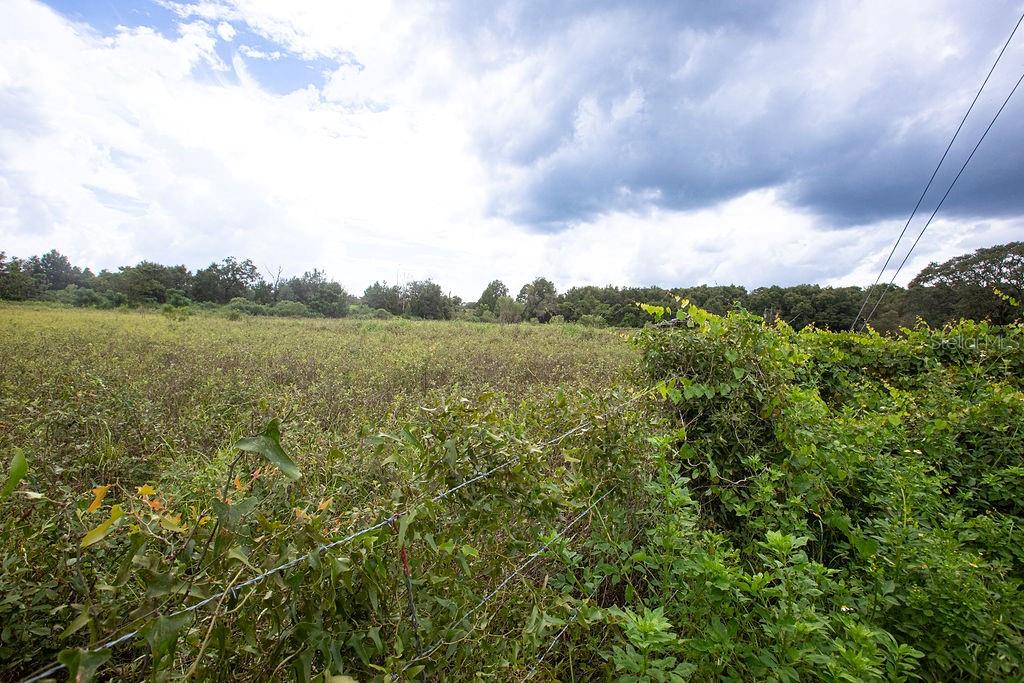 17701 US HIGHWAY 41, SPRING HILL, FL, 34610