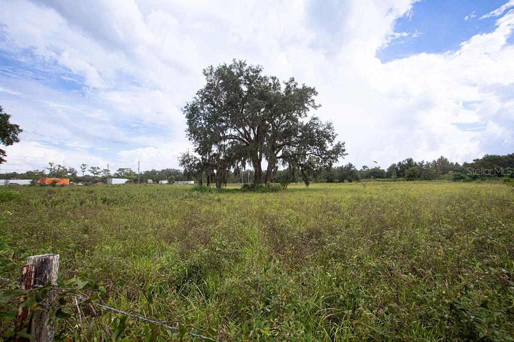 17701 US HIGHWAY 41, SPRING HILL, FL, 34610