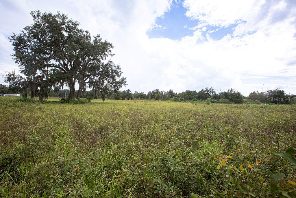 17701 US HIGHWAY 41, SPRING HILL, FL, 34610