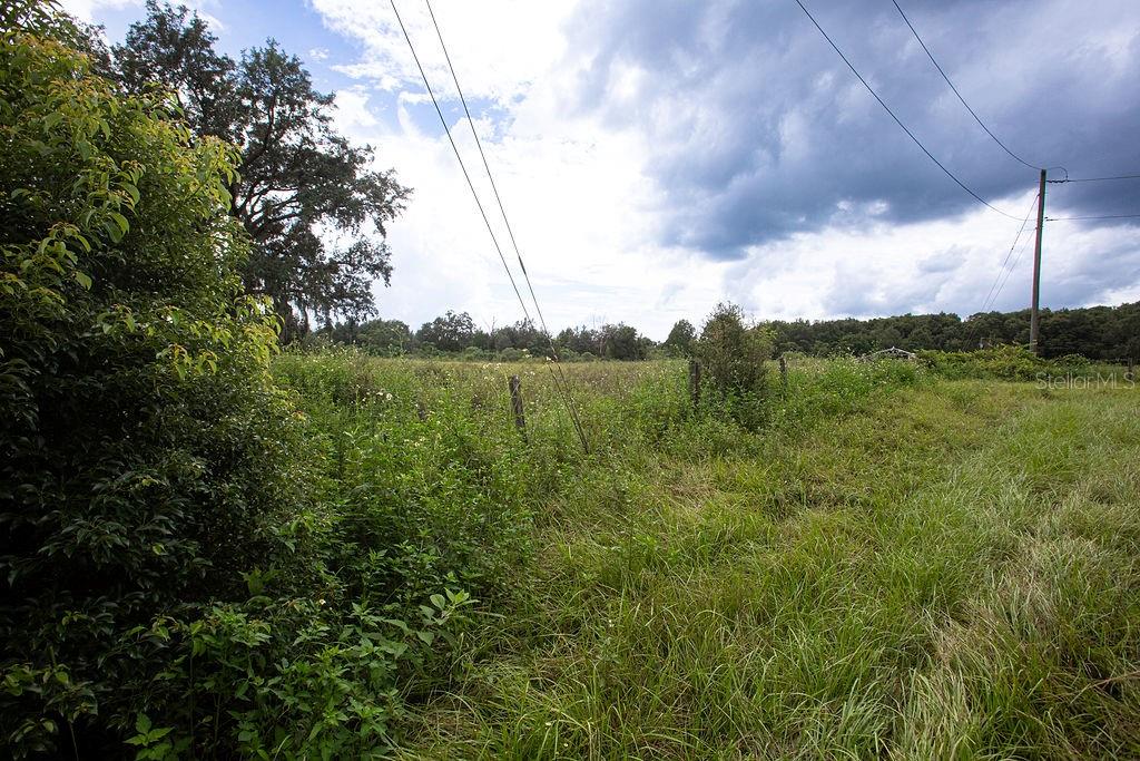 17701 US HIGHWAY 41, SPRING HILL, FL, 34610