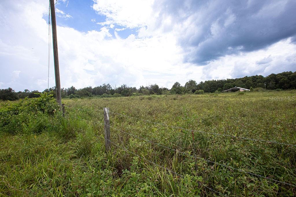 17701 US HIGHWAY 41, SPRING HILL, FL, 34610