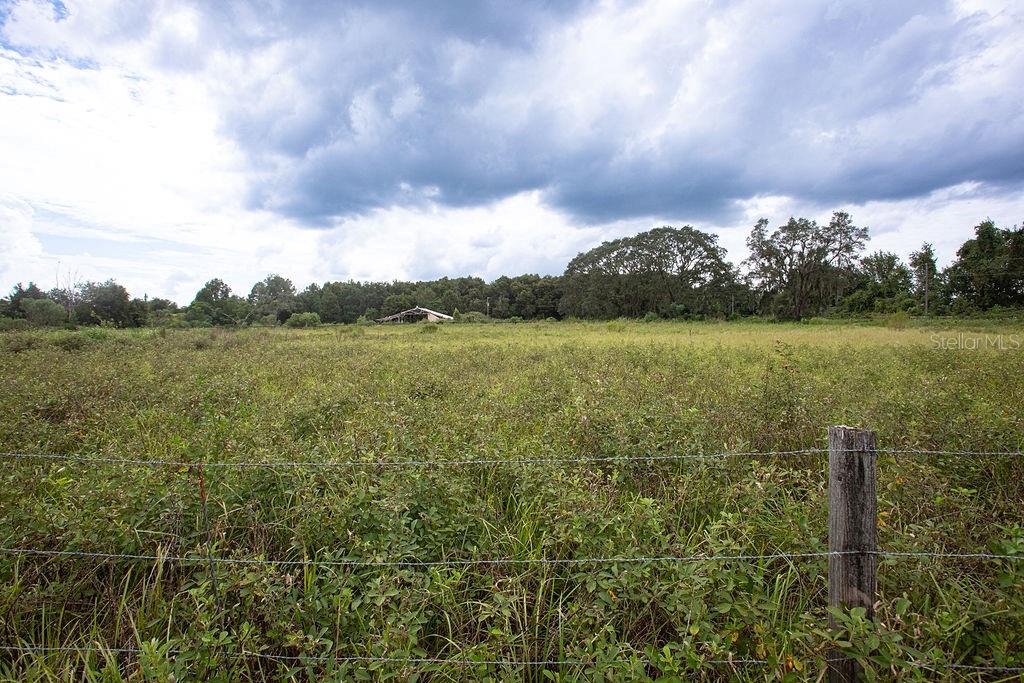 17701 US HIGHWAY 41, SPRING HILL, FL, 34610