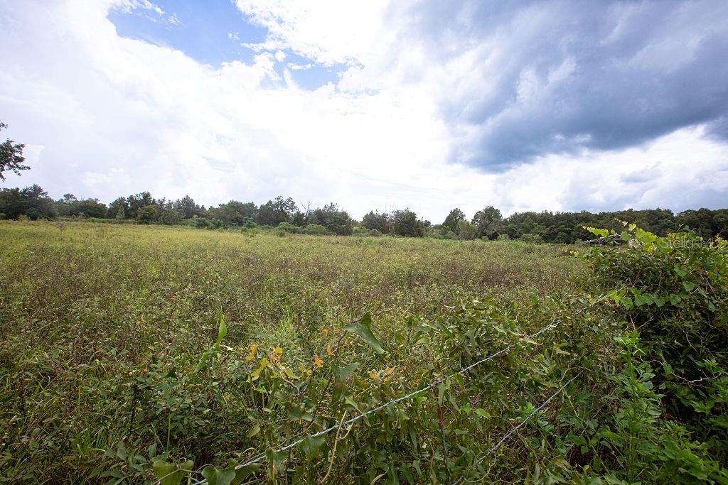 17701 US HIGHWAY 41, SPRING HILL, FL, 34610