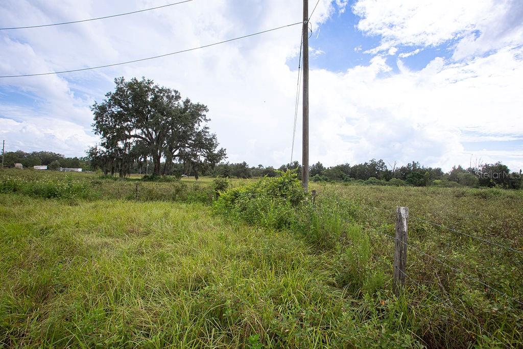 17701 US HIGHWAY 41, SPRING HILL, FL, 34610