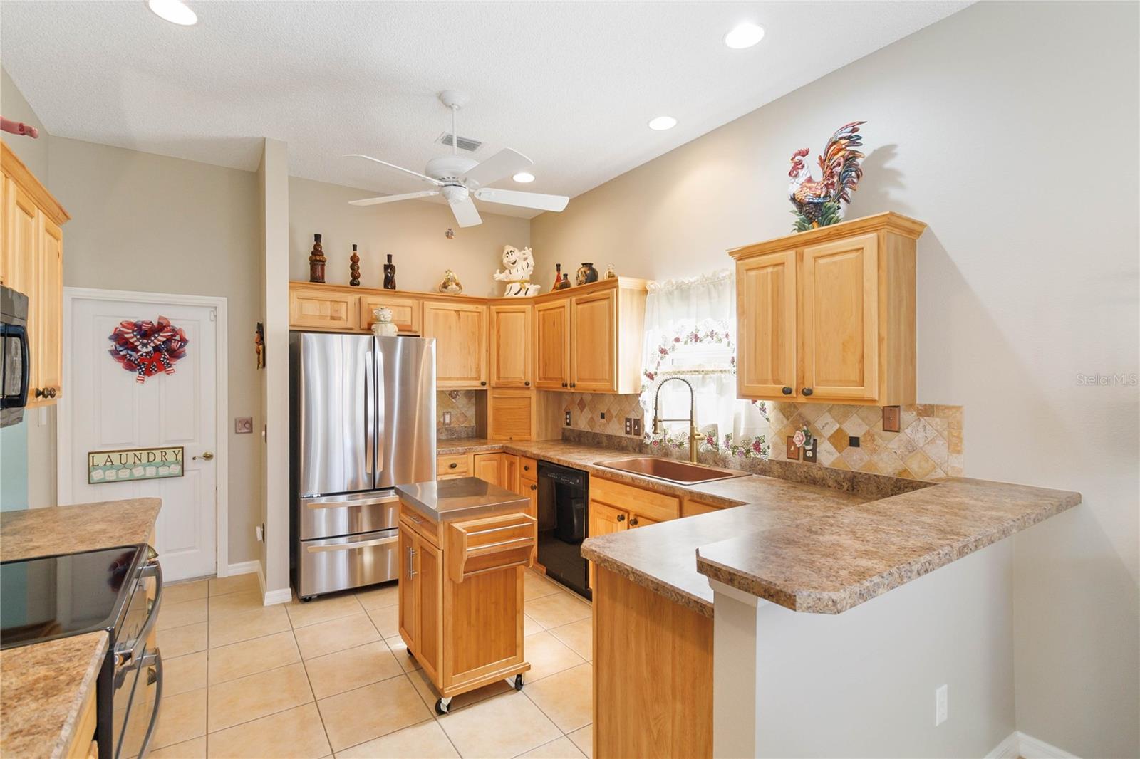 17416 SE 71ST CURRITUCK TER, THE VILLAGES, FL, 32162