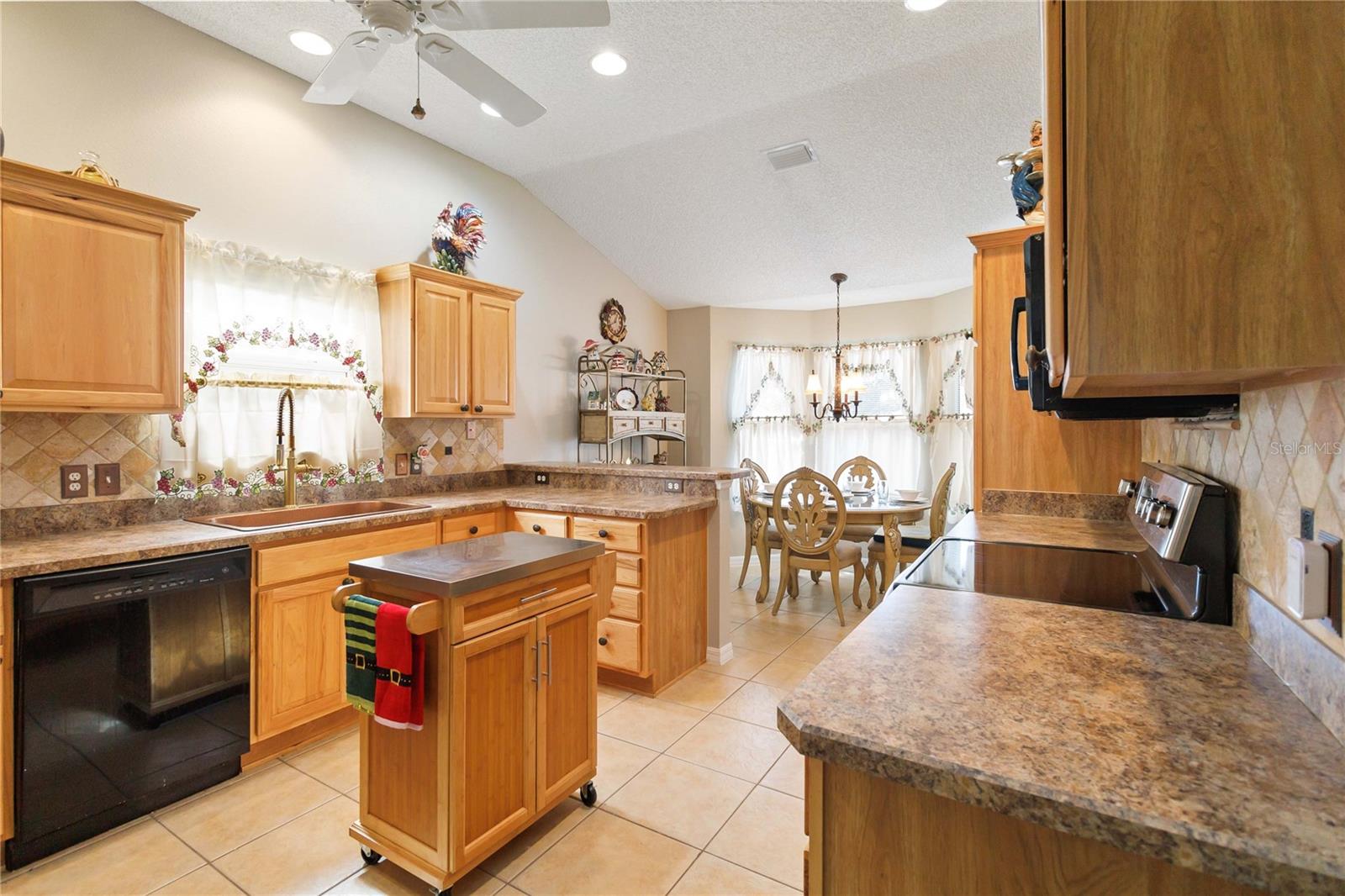 17416 SE 71ST CURRITUCK TER, THE VILLAGES, FL, 32162