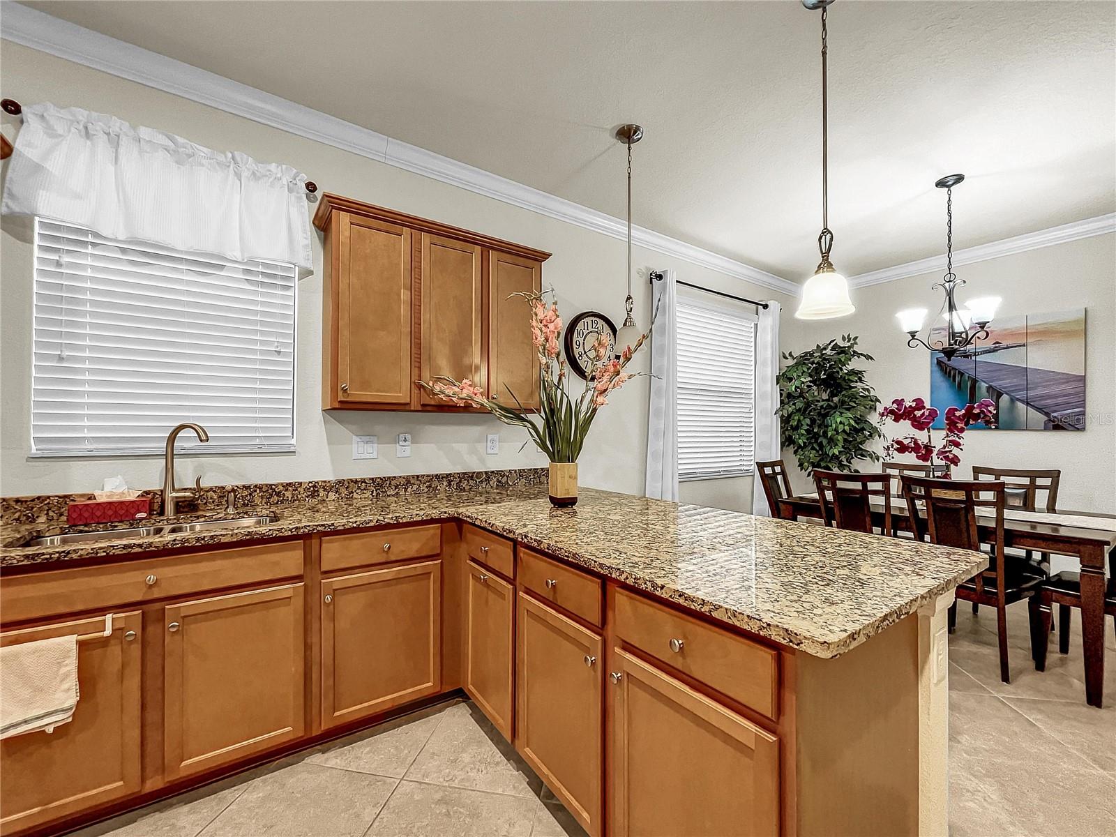 12276 CANAVESE LN, VENICE, FL, 34293