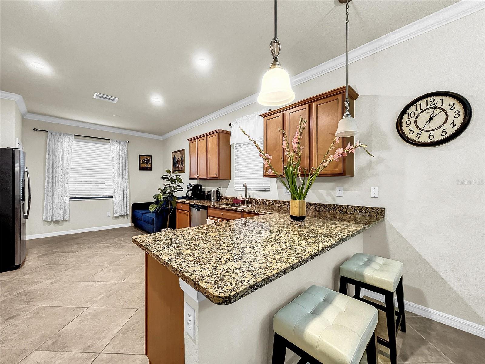 12276 CANAVESE LN, VENICE, FL, 34293