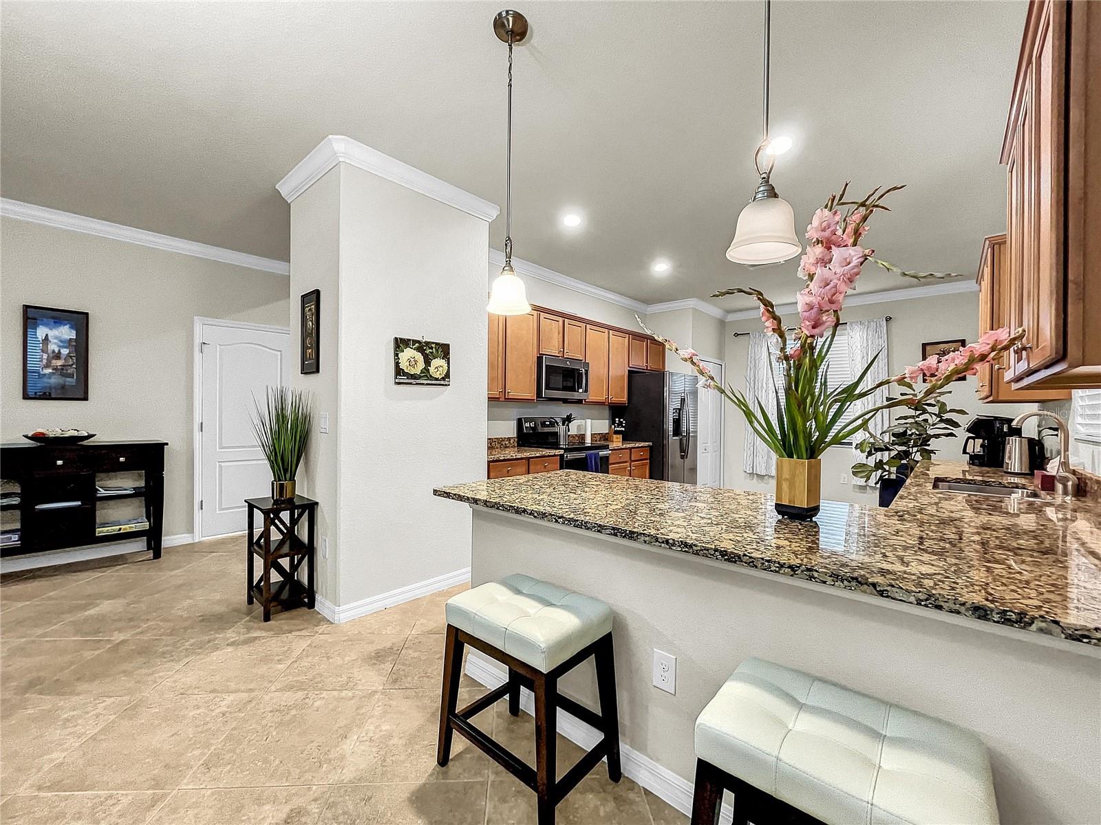 12276 CANAVESE LN, VENICE, FL, 34293