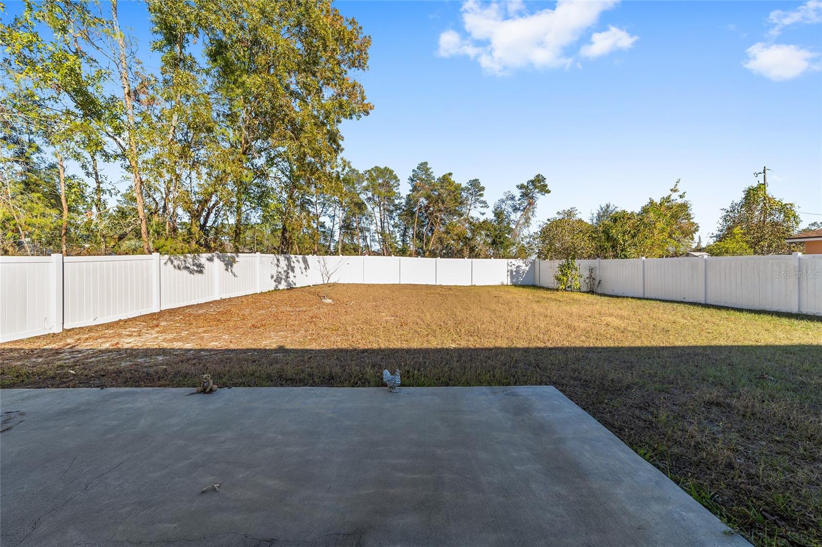2339 SW 146TH LOOP, OCALA, FL, 34473