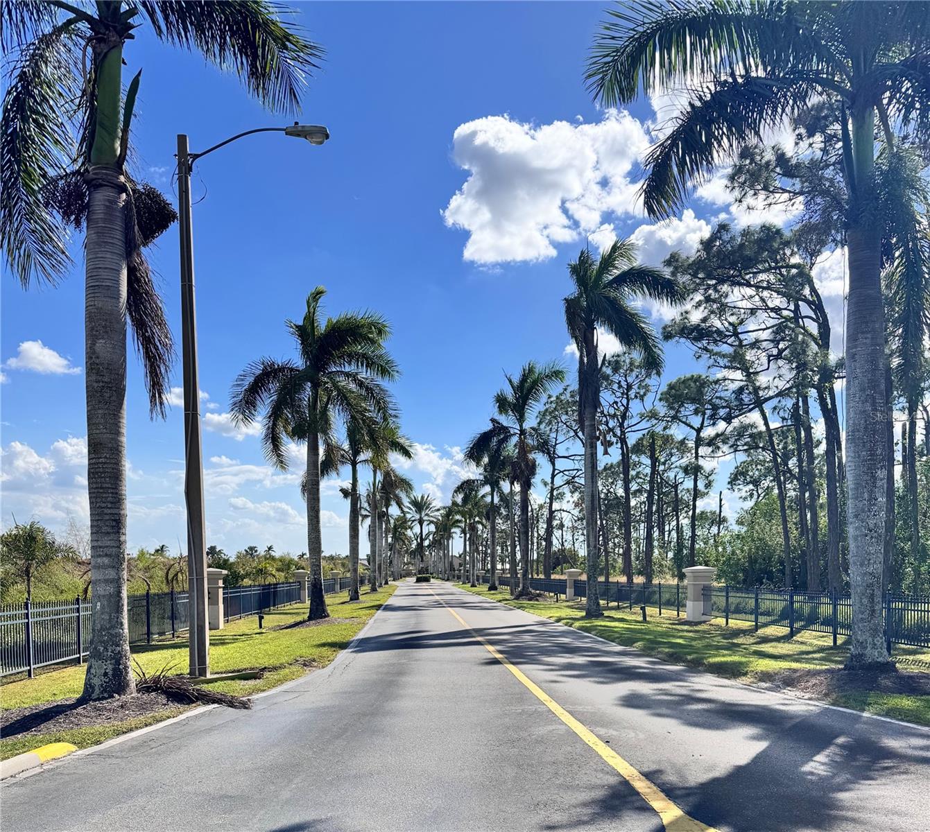 11915 PRINCE CHARLES CT, CAPE CORAL, FL, 33991