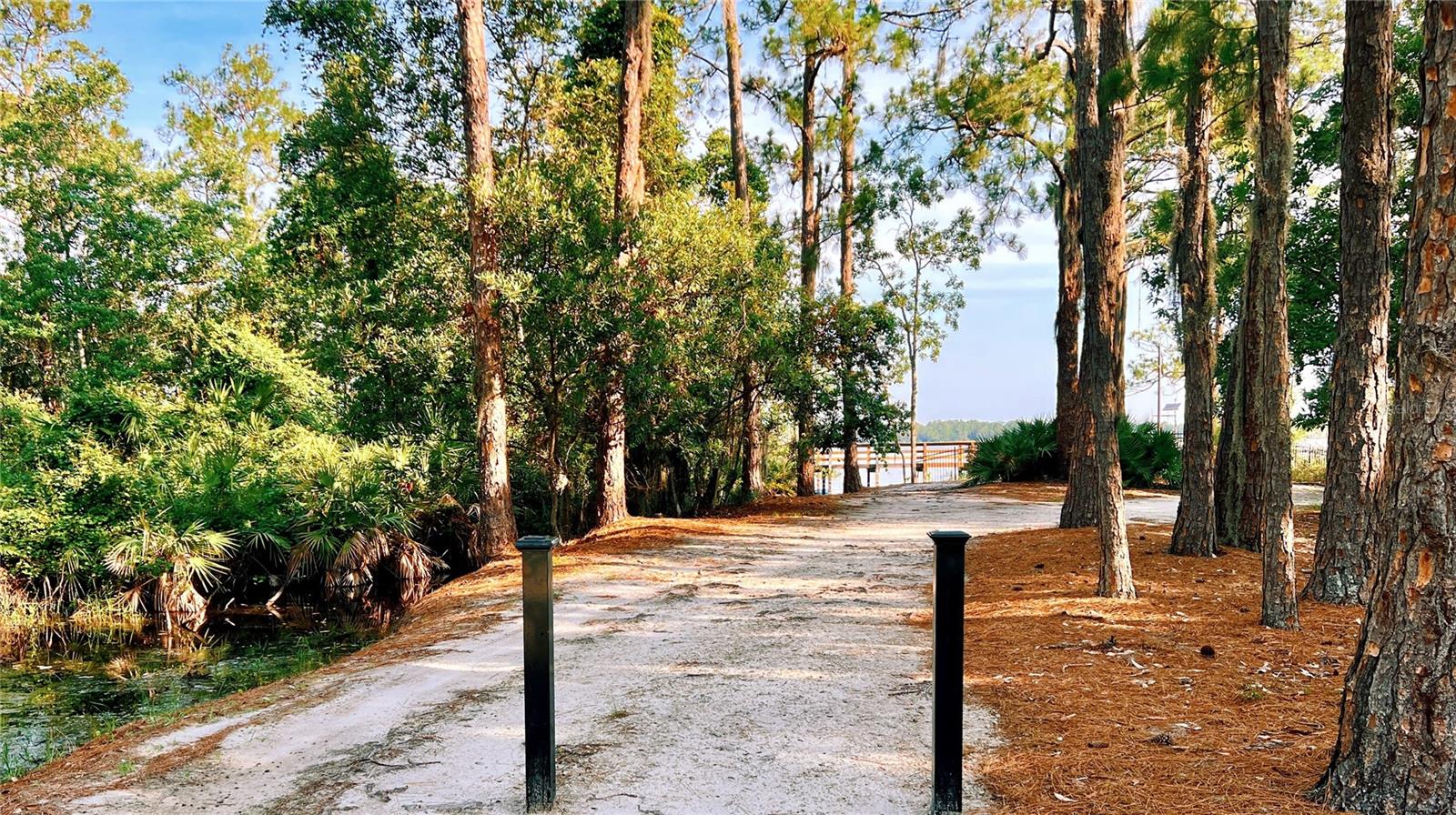 7011 BEARGRASS RD, HARMONY, FL, 34773