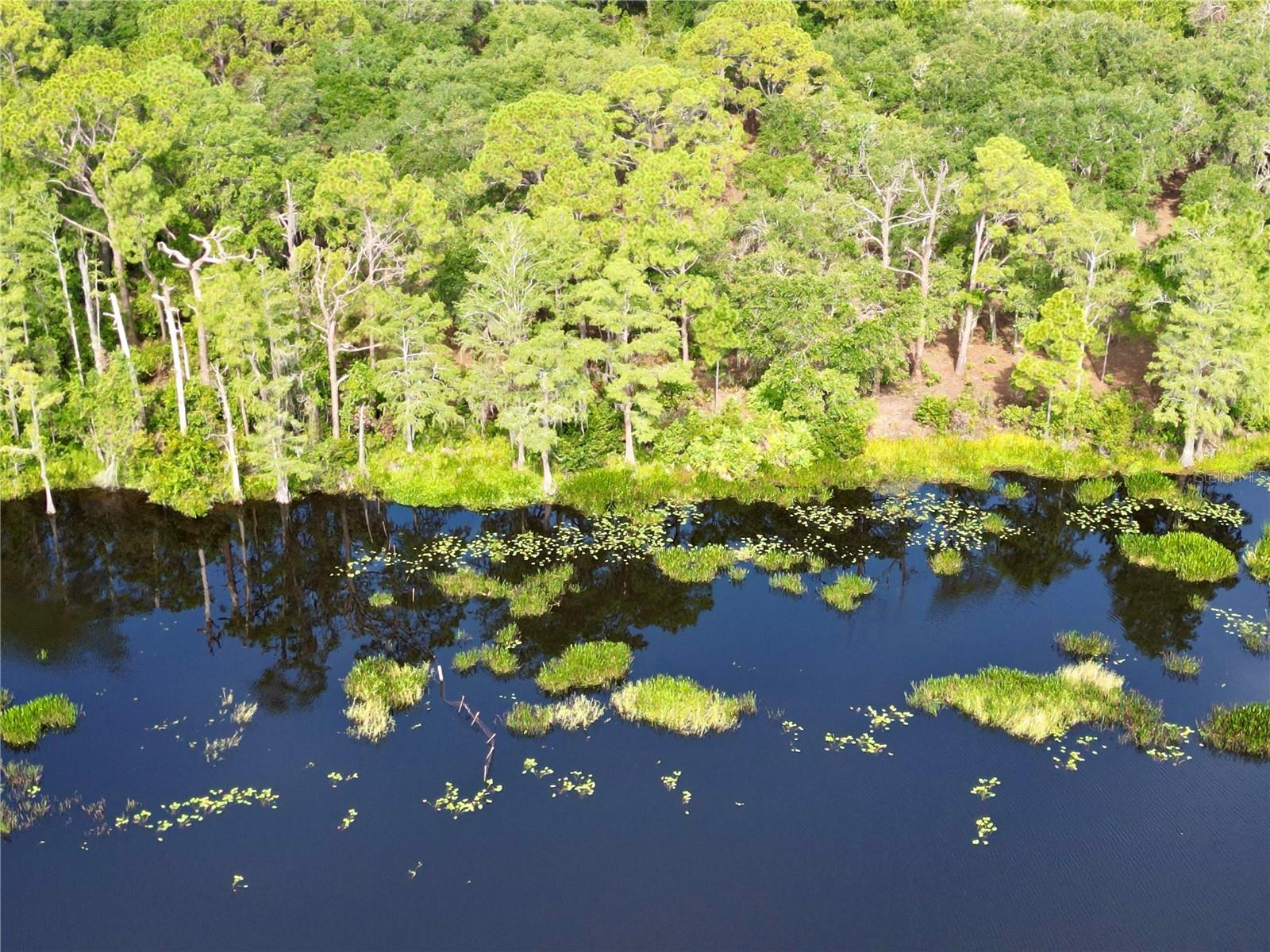 7011 BEARGRASS RD, HARMONY, FL, 34773
