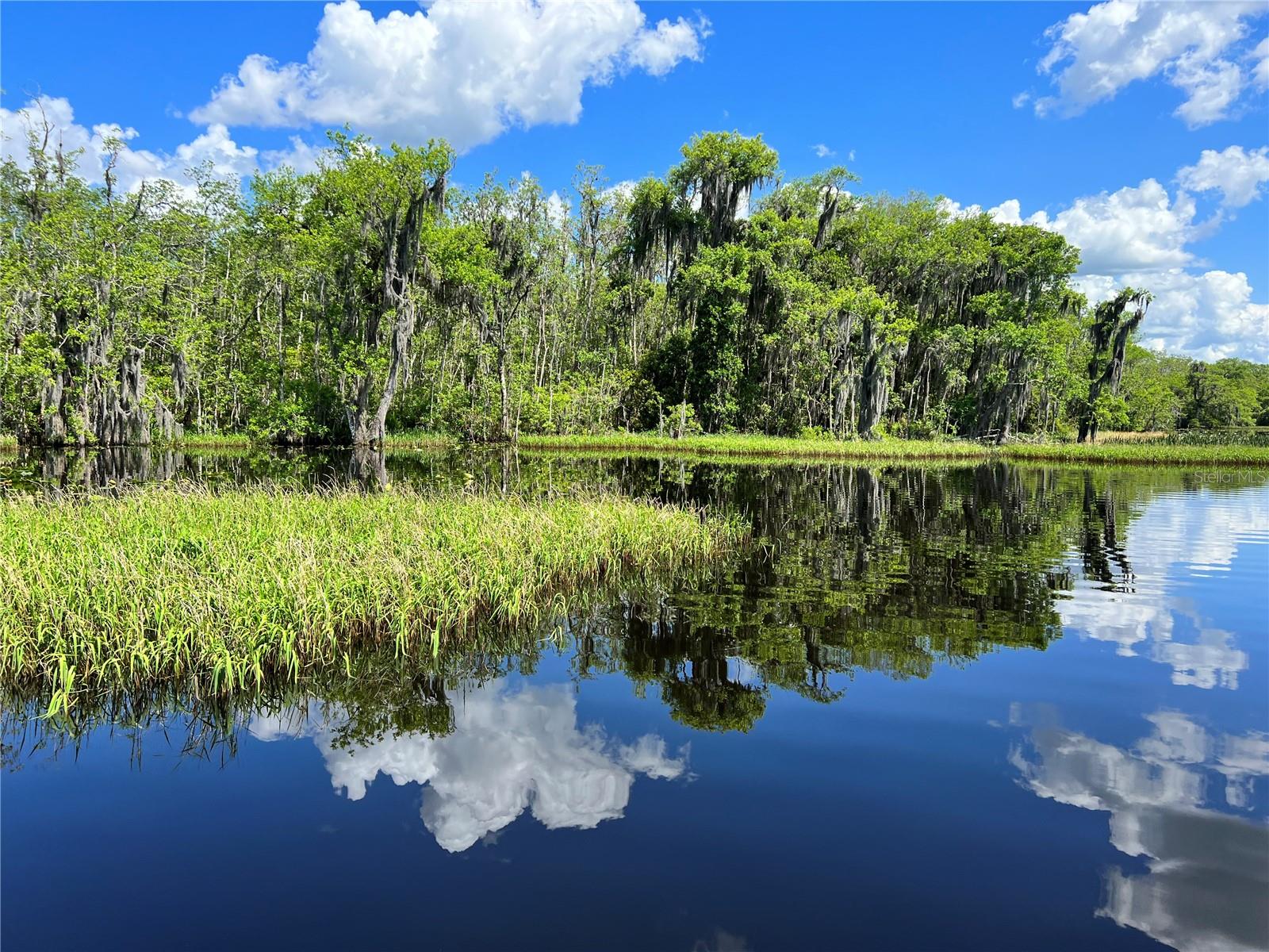 7011 BEARGRASS RD, HARMONY, FL, 34773