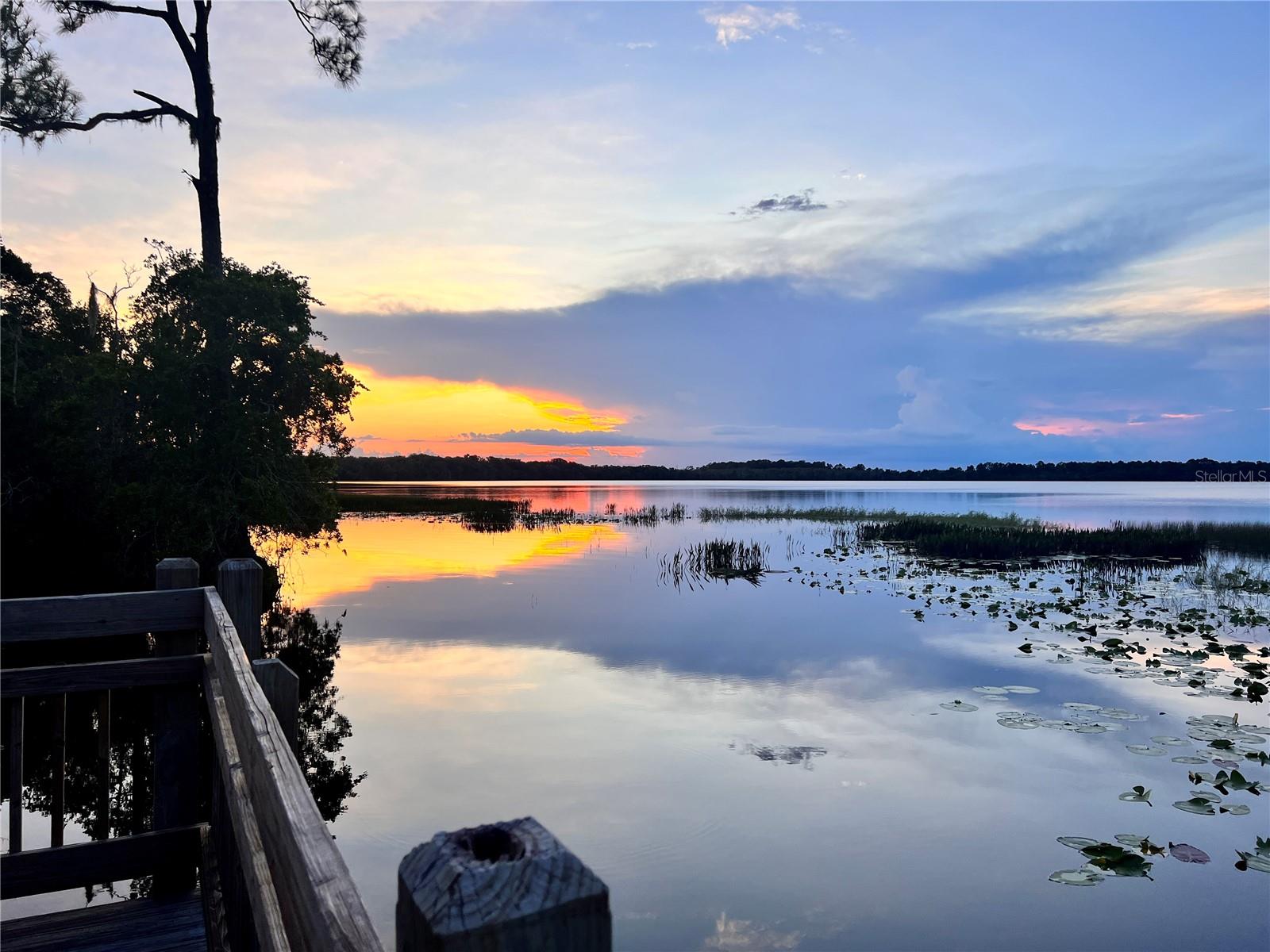 7011 BEARGRASS RD, HARMONY, FL, 34773