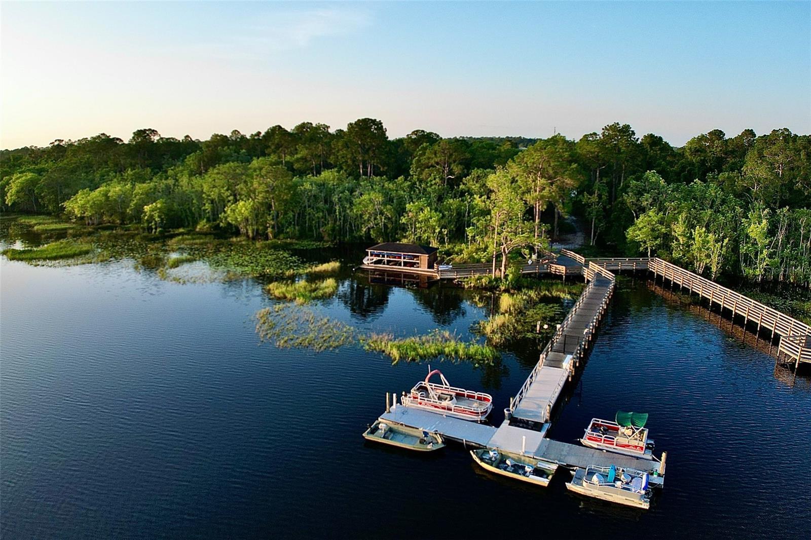 7011 BEARGRASS RD, HARMONY, FL, 34773